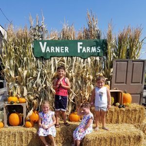 Meet your Posher, Donna